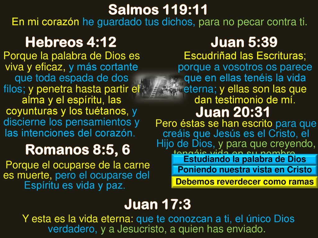 Salmos 119:11 Hebreos 4:12 Juan 5:39 Juan 20:31 Romanos 8:5, 6