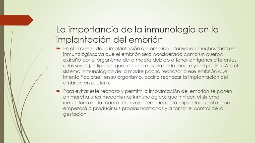 La importancia de la inmunología en la implantación del embrión