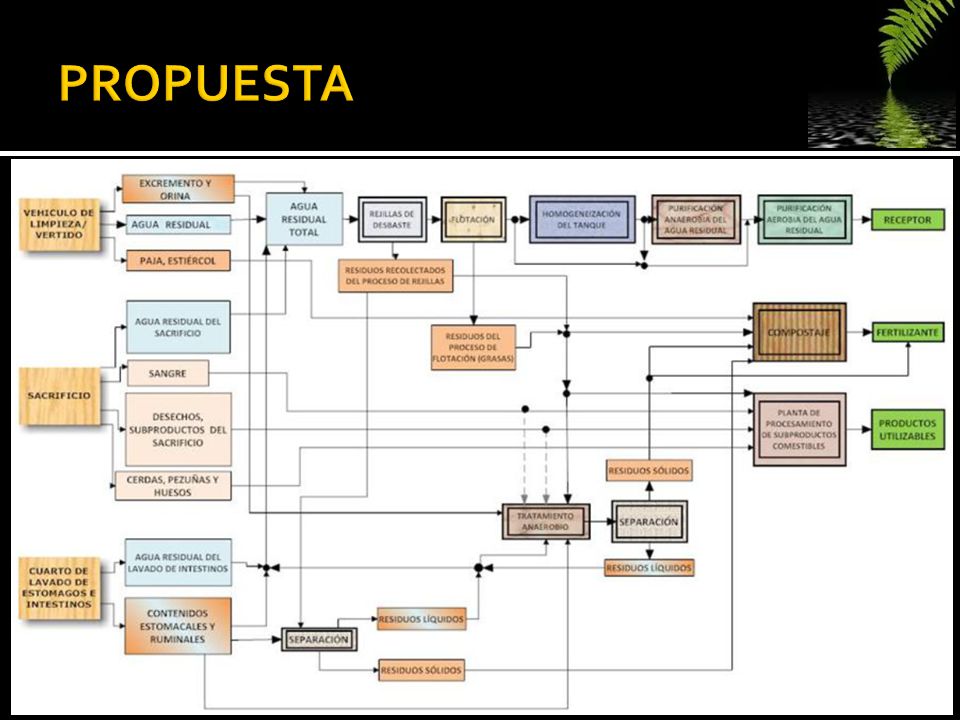 PROPUESTA
