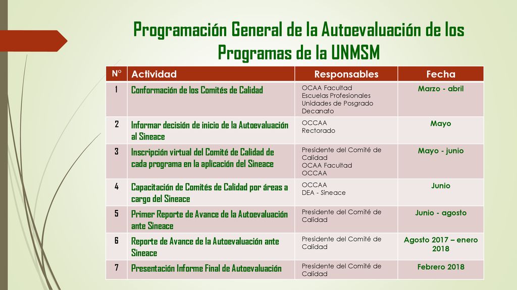 Programación General de la Autoevaluación de los Programas de la UNMSM