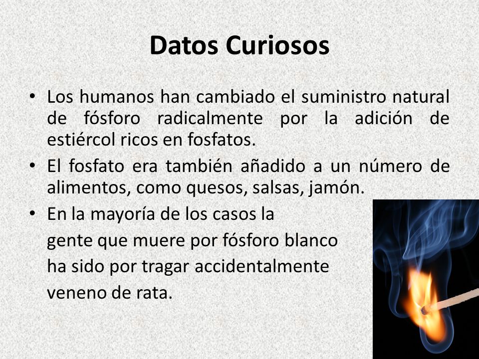 Datos Curiosos Los humanos han cambiado el suministro natural de fósforo radicalmente por la adición de estiércol ricos en fosfatos.