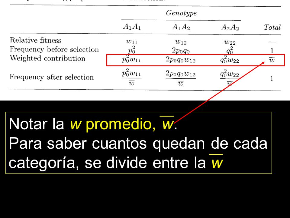 Notar la w promedio, w. Para saber cuantos quedan de cada categoría, se divide entre la w