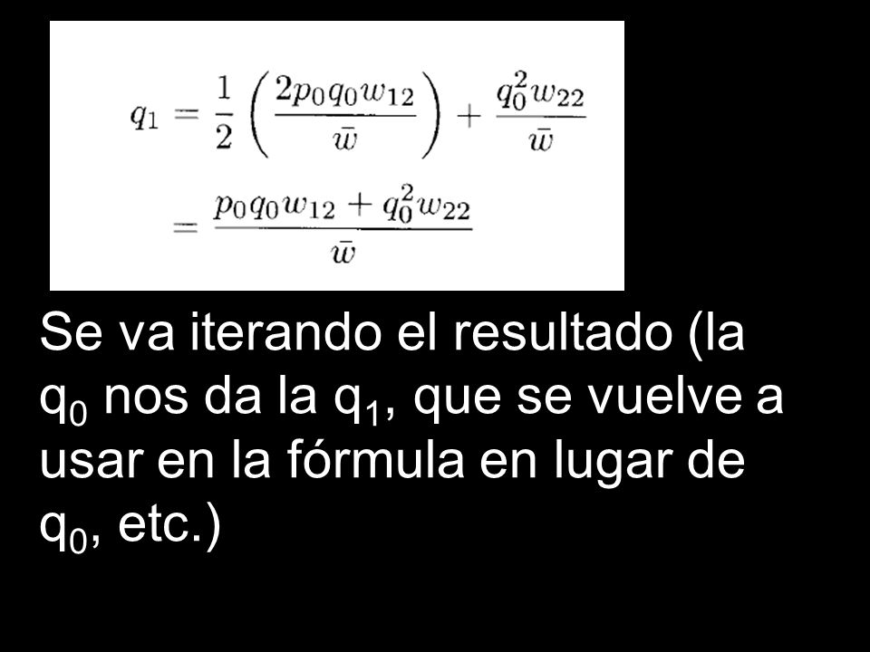 Se va iterando el resultado (la q0 nos da la q1, que se vuelve a usar en la fórmula en lugar de q0, etc.)