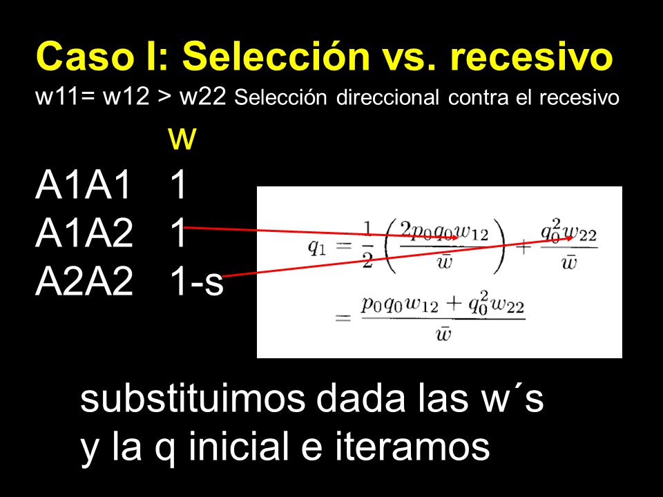 Caso I: Selección vs. recesivo w A1A1 1 A1A2 1 A2A2 1-s