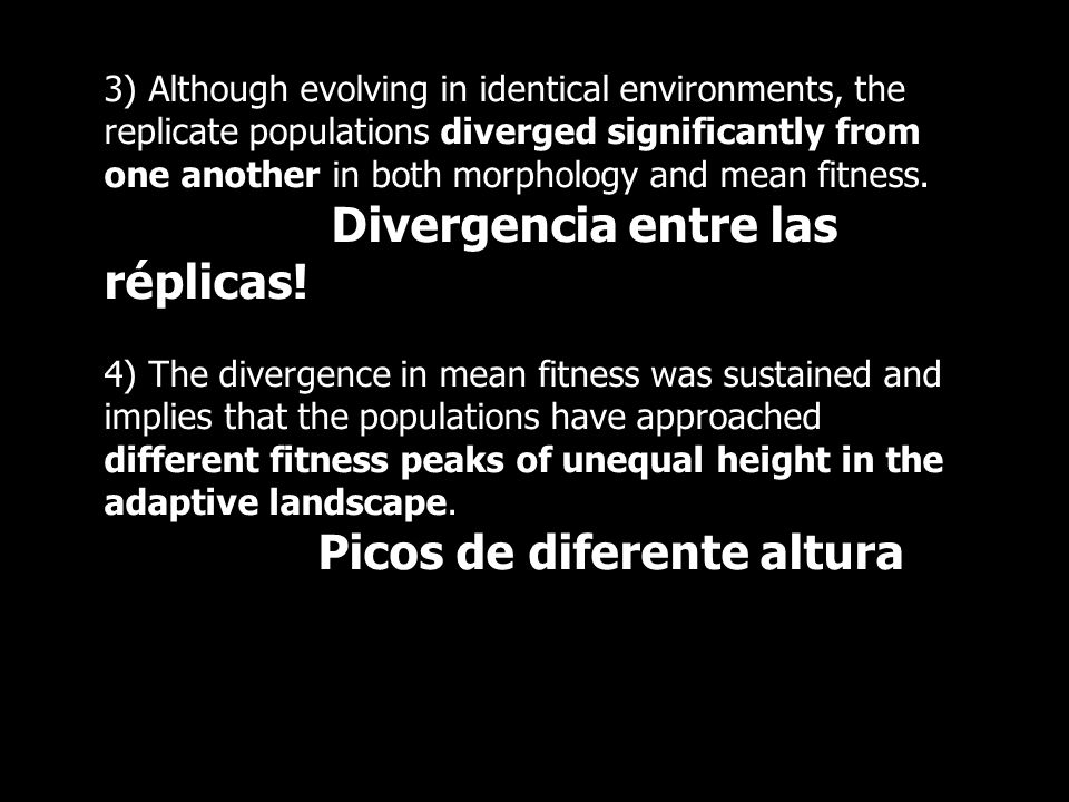 3) Although evolving in identical environments, the replicate populations diverged significantly from one another in both morphology and mean fitness.
