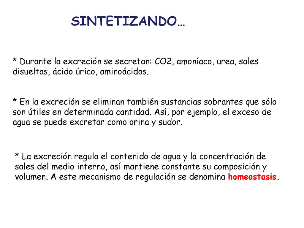 SINTETIZANDO… * Durante la excreción se secretan: CO2, amoníaco, urea, sales disueltas, ácido úrico, aminoácidos.