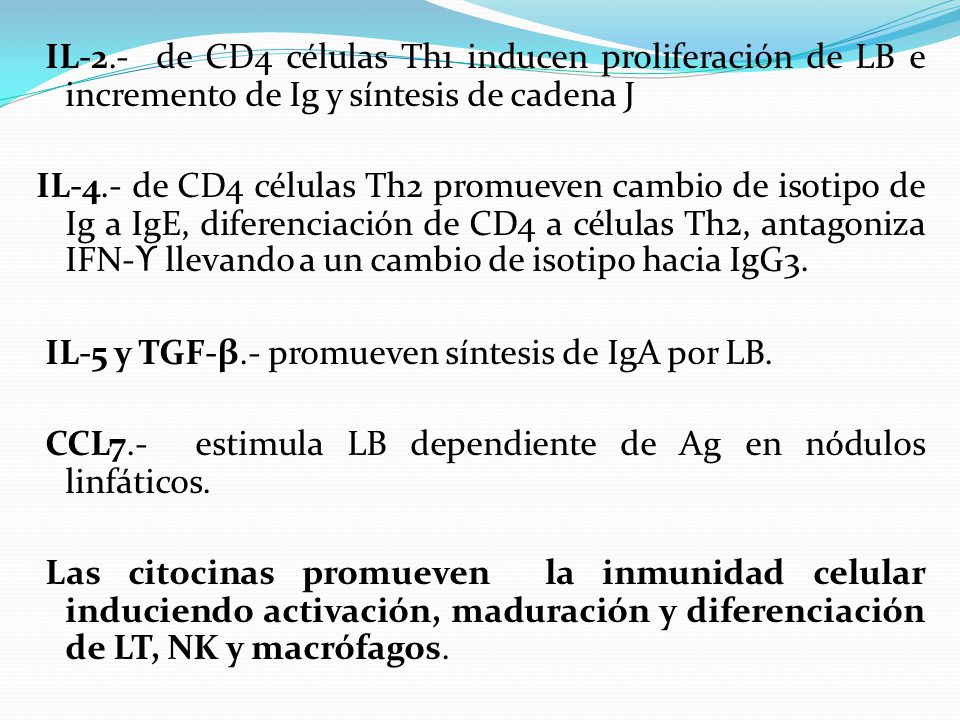 IL-2.- de CD4 células Th1 inducen proliferación de LB e incremento de Ig y síntesis de cadena J IL-4.- de CD4 células Th2 promueven cambio de isotipo de Ig a IgE, diferenciación de CD4 a células Th2, antagoniza IFN-ϒ llevando a un cambio de isotipo hacia IgG3.
