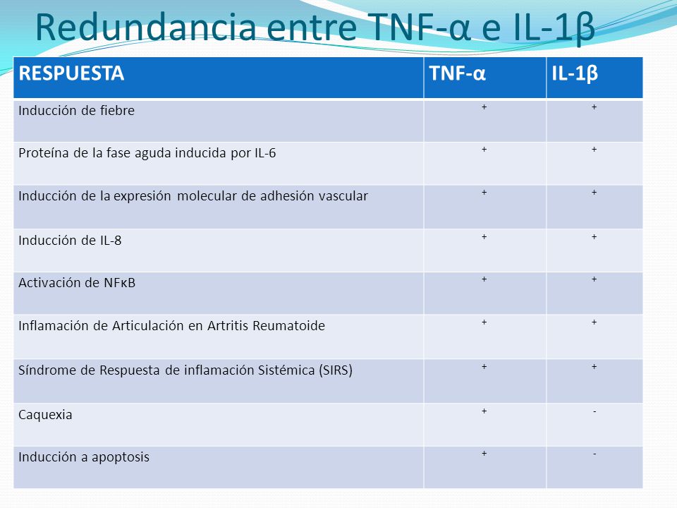 Redundancia entre TNF-α e IL-1β