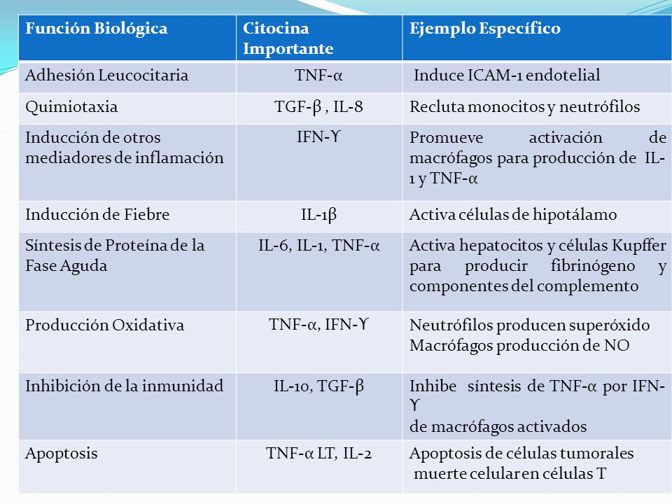 Función Biológica Citocina Importante. Ejemplo Específico. Adhesión Leucocitaria. TNF-α. Induce ICAM-1 endotelial.