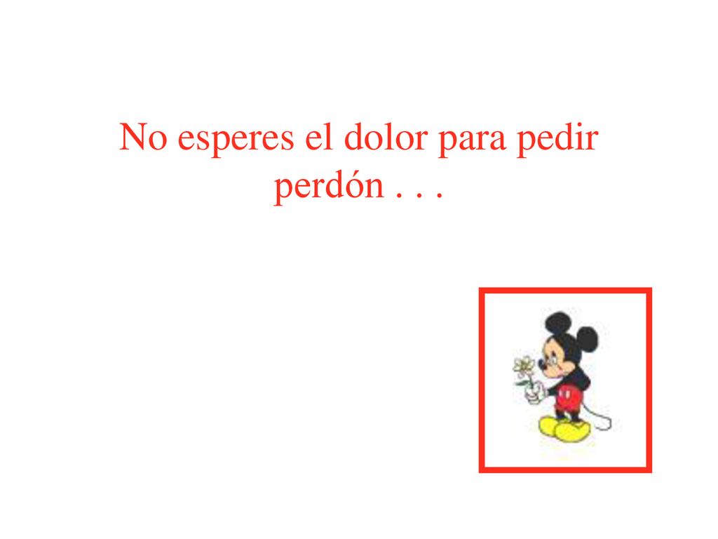 No esperes el dolor para pedir perdón . . .