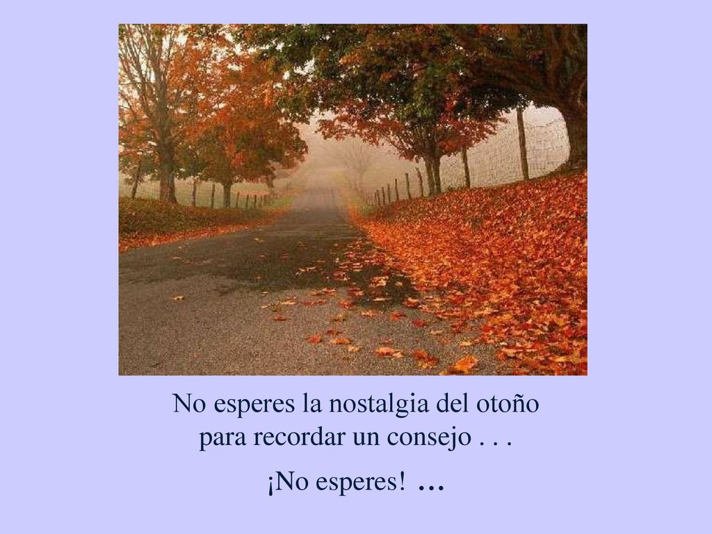 No esperes la nostalgia del otoño para recordar un consejo ¡No esperes! ...