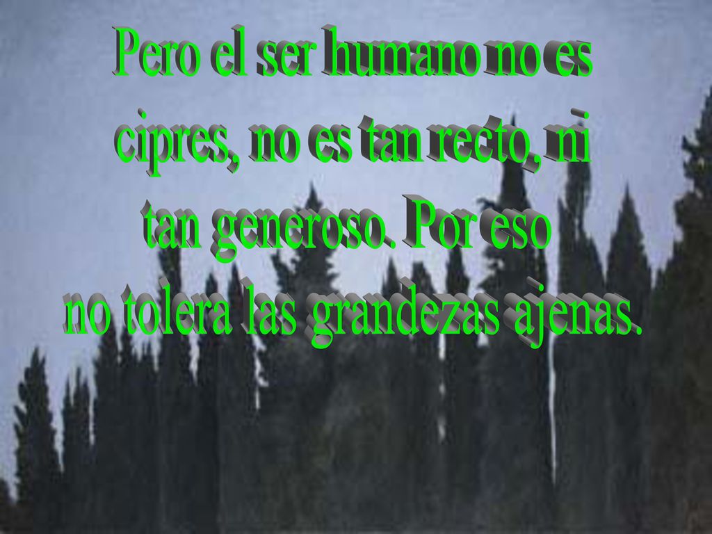 cipres, no es tan recto, ni tan generoso. Por eso