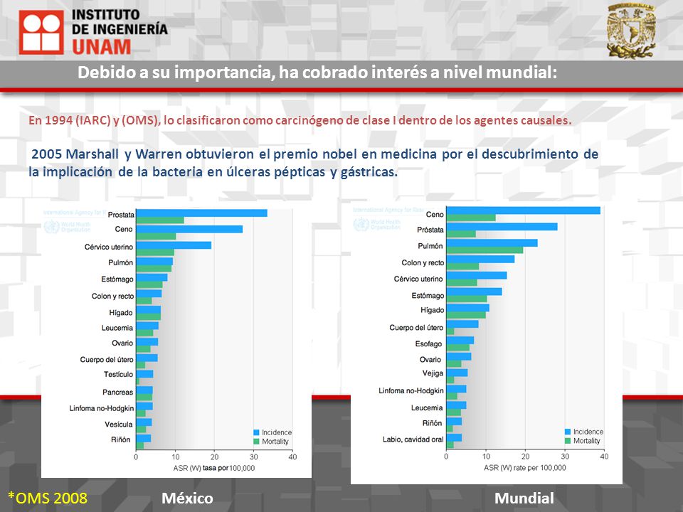 Debido a su importancia, ha cobrado interés a nivel mundial:
