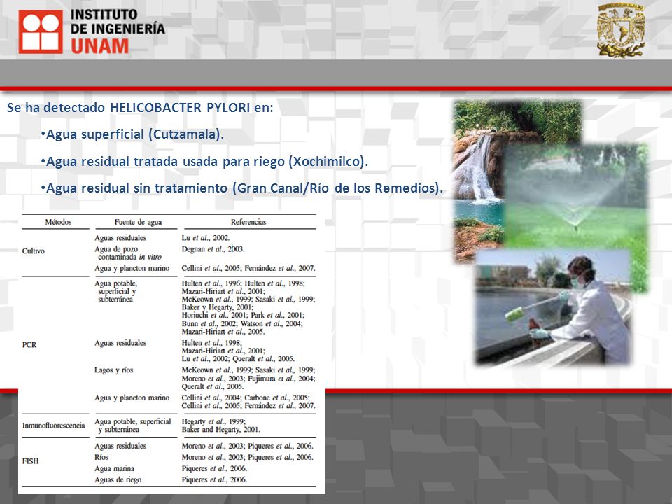 Se ha detectado HELICOBACTER PYLORI en:
