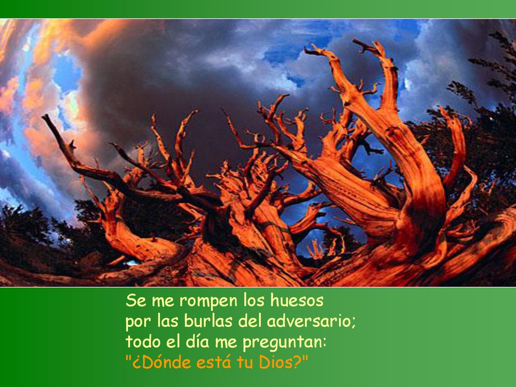 Se me rompen los huesos por las burlas del adversario; todo el día me preguntan: ¿Dónde está tu Dios