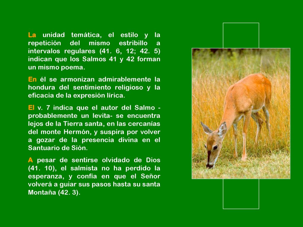 La unidad temática, el estilo y la repetición del mismo estribillo a intervalos regulares (41. 6, 12; 42. 5) indican que los Salmos 41 y 42 forman un mismo poema.