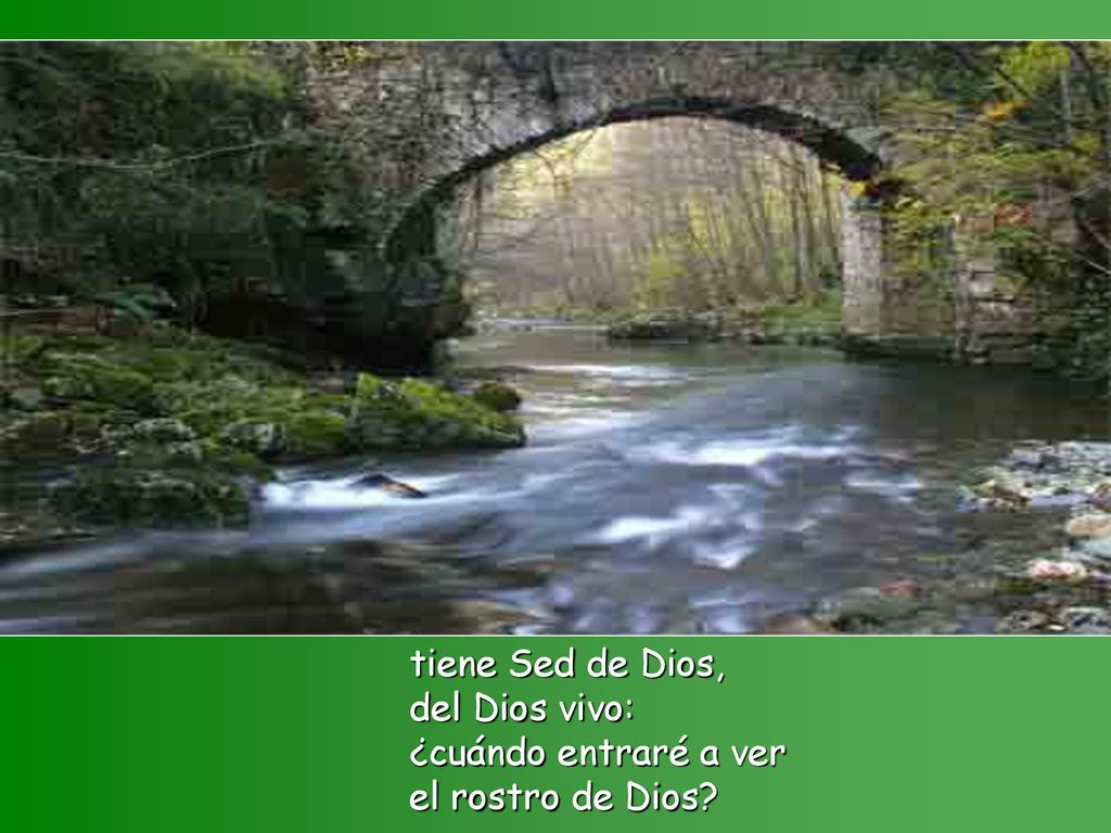 tiene Sed de Dios, del Dios vivo: ¿cuándo entraré a ver el rostro de Dios