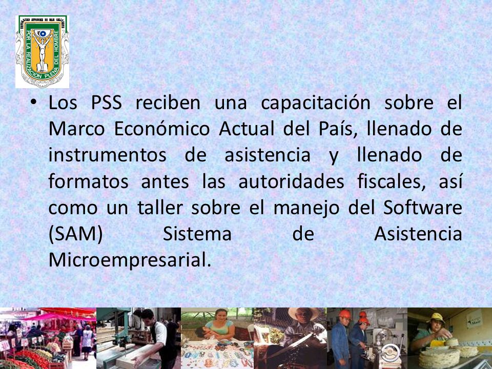 Los PSS reciben una capacitación sobre el Marco Económico Actual del País, llenado de instrumentos de asistencia y llenado de formatos antes las autoridades fiscales, así como un taller sobre el manejo del Software (SAM) Sistema de Asistencia Microempresarial.