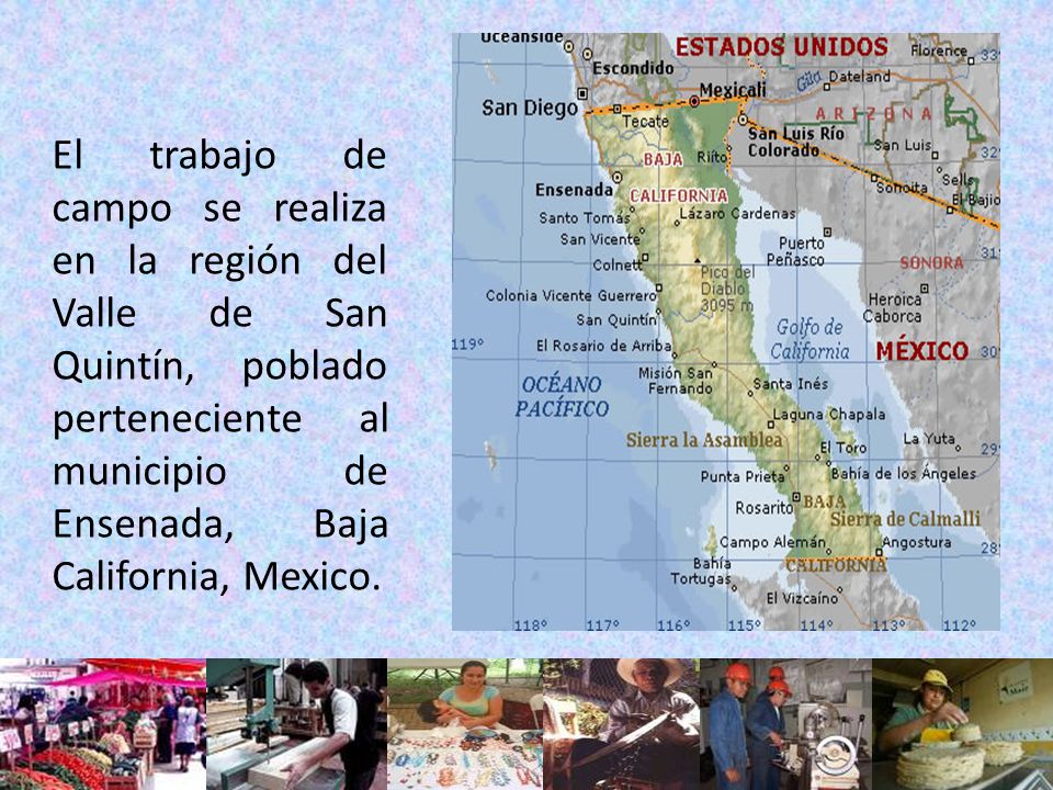 El trabajo de campo se realiza en la región del Valle de San Quintín, poblado perteneciente al municipio de Ensenada, Baja California, Mexico.
