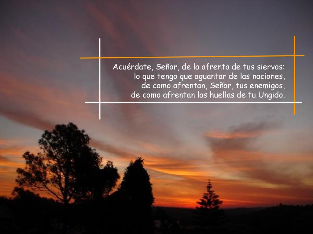 Acuérdate, Señor, de la afrenta de tus siervos: lo que tengo que aguantar de las naciones, de como afrentan, Señor, tus enemigos, de como afrentan las huellas de tu Ungido.