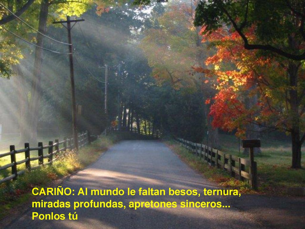 CARIÑO: Al mundo le faltan besos, ternura, miradas profundas, apretones sinceros...