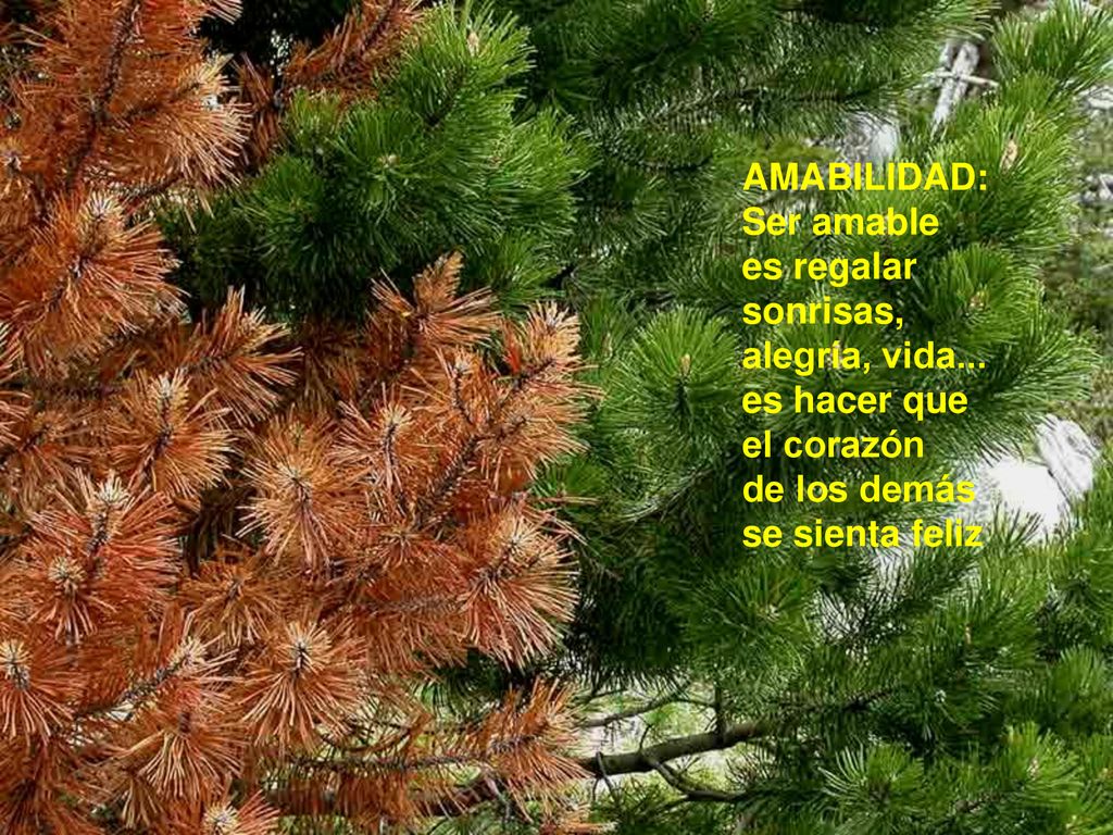 AMABILIDAD: Ser amable. es regalar sonrisas, alegría, vida... es hacer que. el corazón. de los demás.