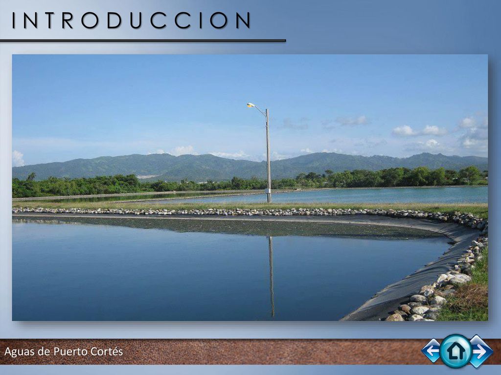 I N T R O D U C C I O N Aguas de Puerto Cortés