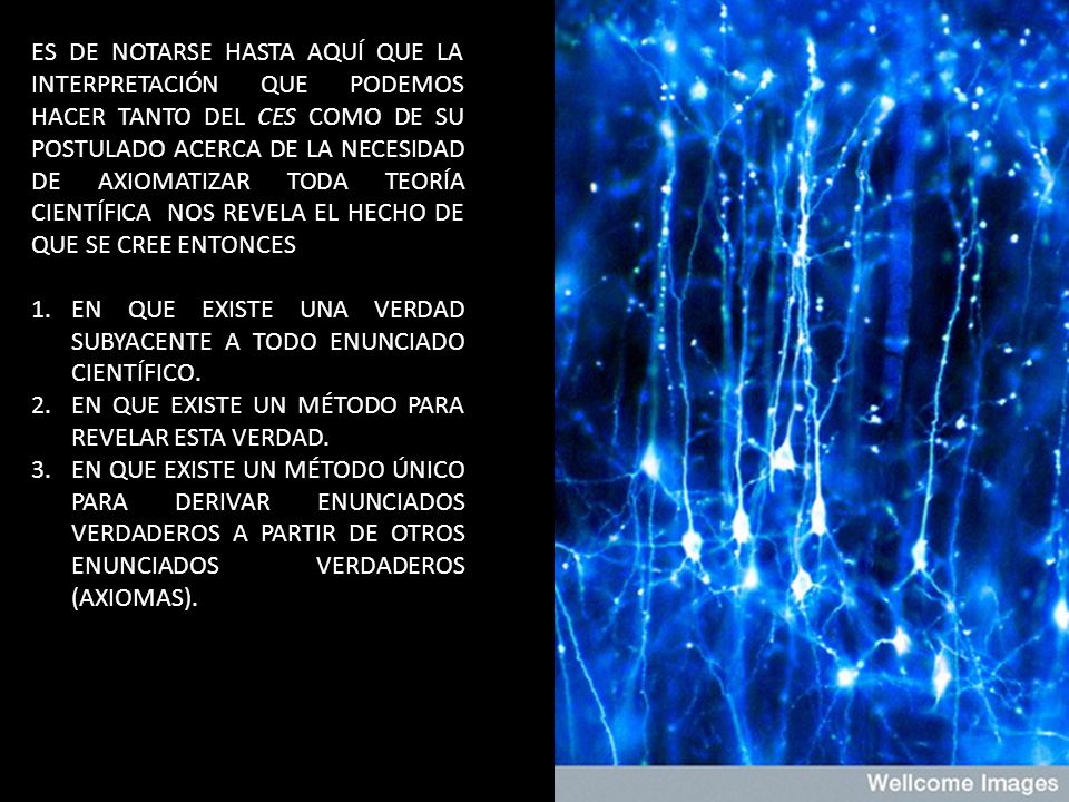 ES DE NOTARSE HASTA AQUÍ QUE LA INTERPRETACIÓN QUE PODEMOS HACER TANTO DEL CES COMO DE SU POSTULADO ACERCA DE LA NECESIDAD DE AXIOMATIZAR TODA TEORÍA CIENTÍFICA NOS REVELA EL HECHO DE QUE SE CREE ENTONCES