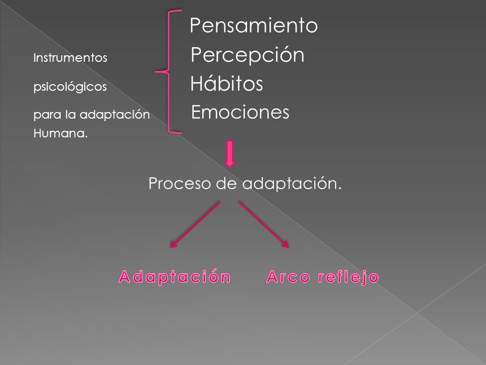 Pensamiento Proceso de adaptación. Adaptación Arco reflejo