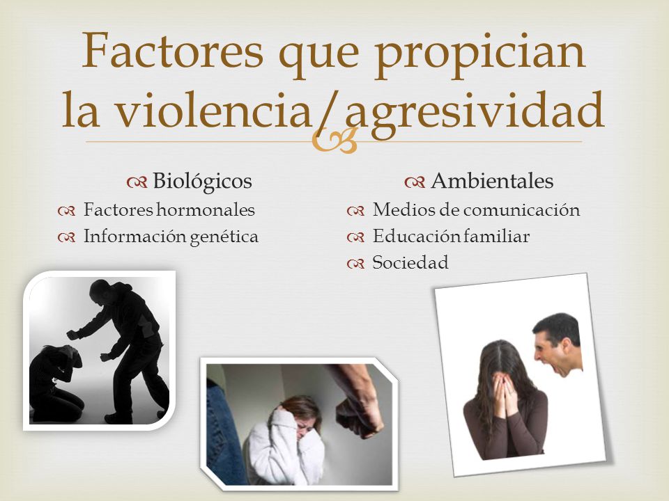 Factores que propician la violencia/agresividad