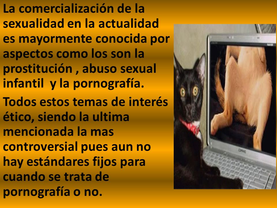 La comercialización de la sexualidad en la actualidad es mayormente conocida por aspectos como los son la prostitución , abuso sexual infantil y la pornografía.