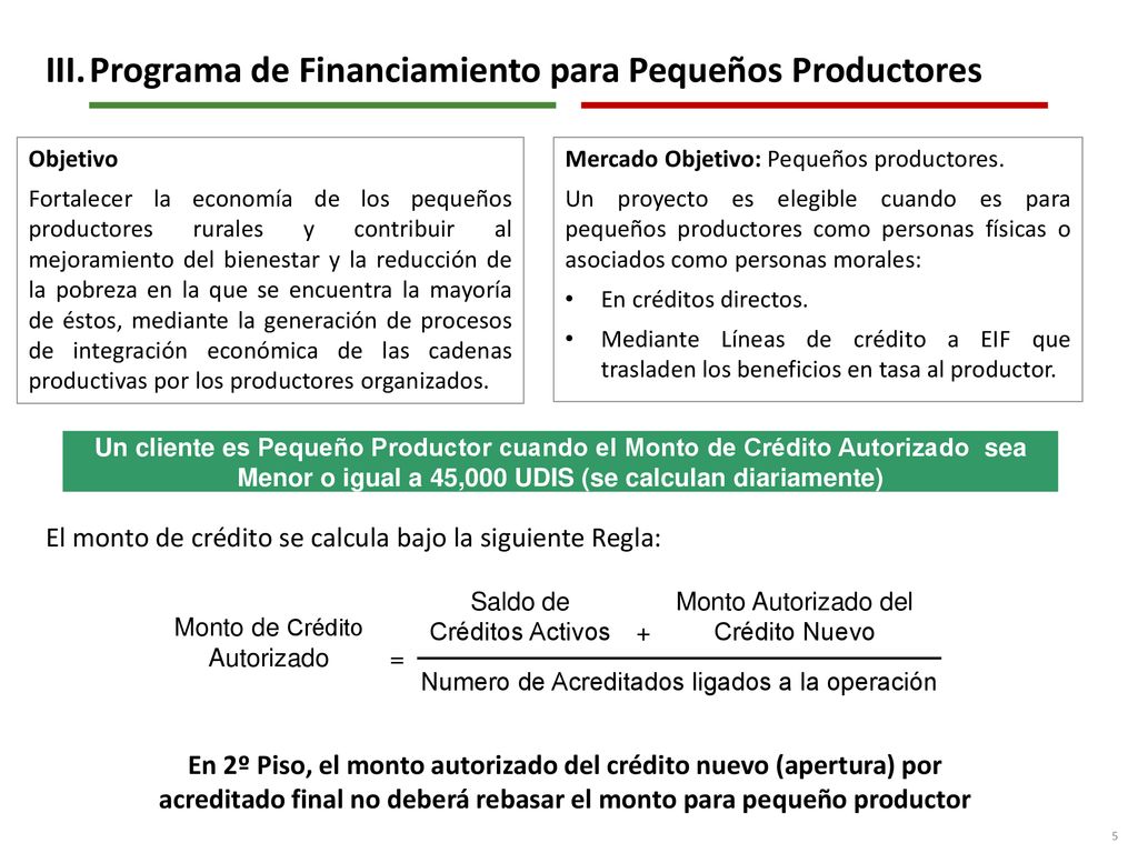 III. Programa de Financiamiento para Pequeños Productores