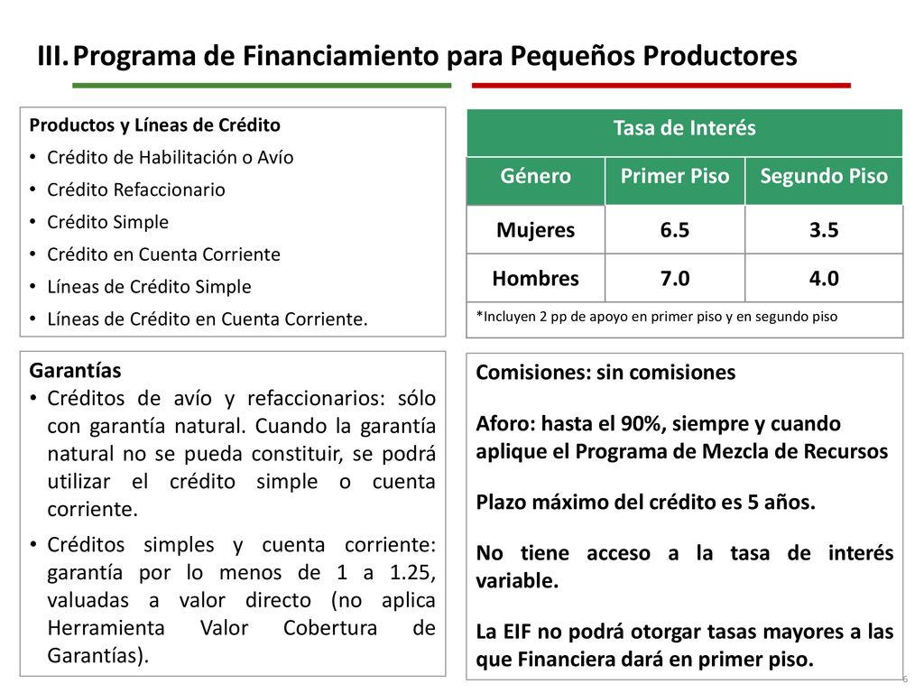 III. Programa de Financiamiento para Pequeños Productores