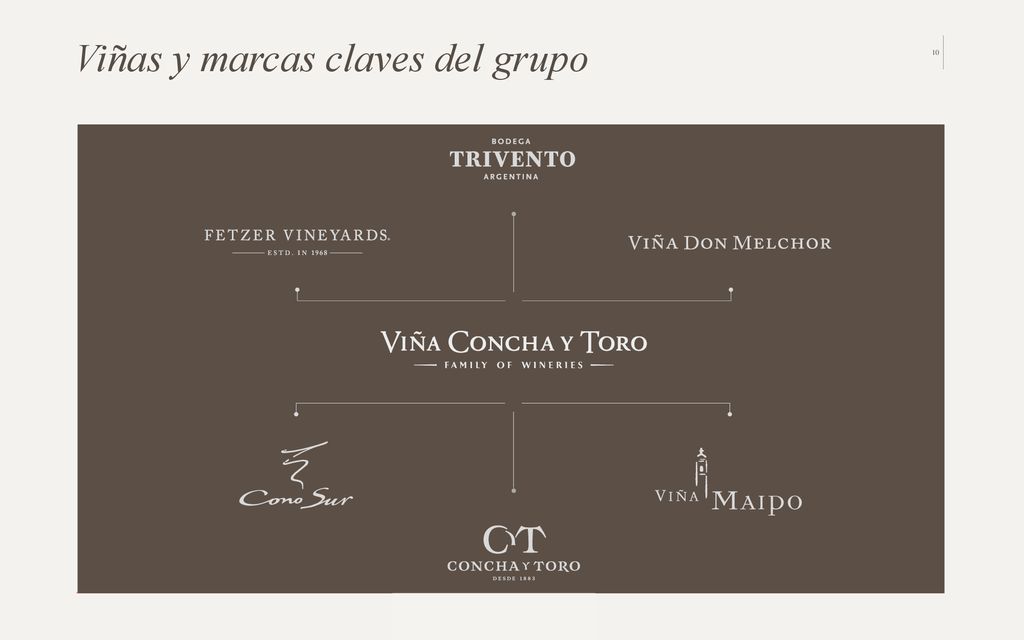 Viñas y marcas claves del grupo