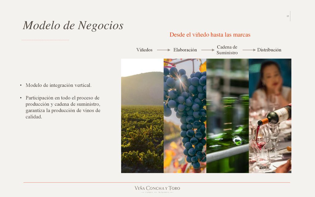 Modelo de Negocios Desde el viñedo hasta las marcas