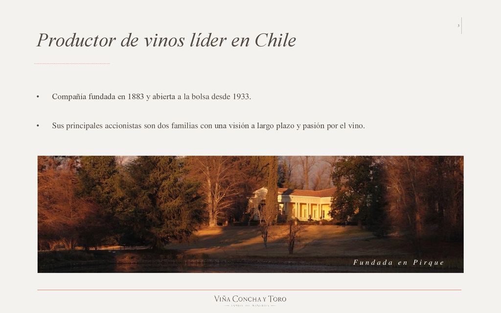 Productor de vinos líder en Chile