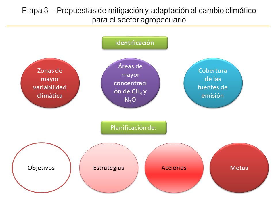 Etapa 3 – Propuestas de mitigación y adaptación al cambio climático para el sector agropecuario