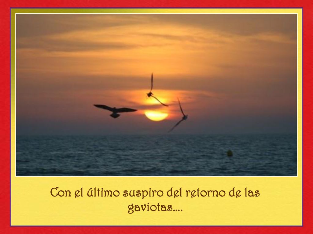 Con el último suspiro del retorno de las gaviotas….