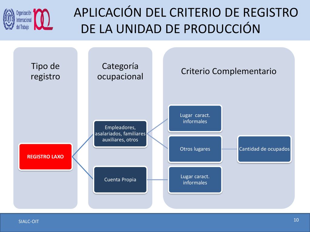 APLICACIÓN DEL CRITERIO DE REGISTRO DE LA UNIDAD DE PRODUCCIÓN