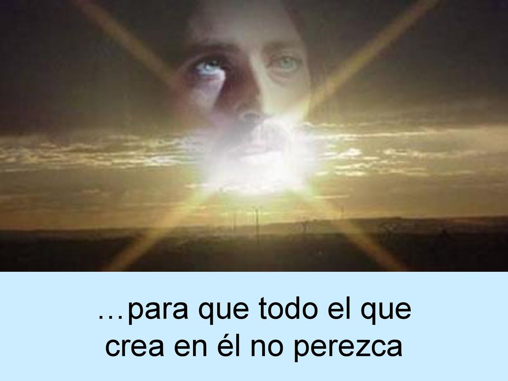 …para que todo el que crea en él no perezca