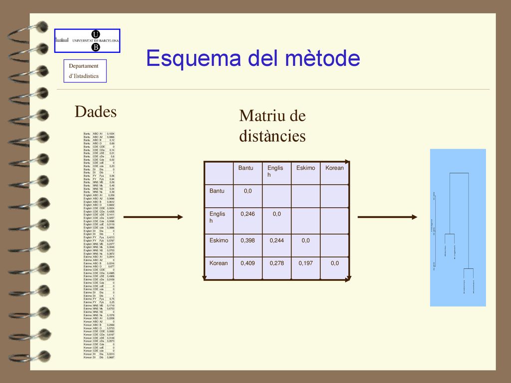 Esquema del mètode Dades Matriu de distàncies Bantu English Eskimo