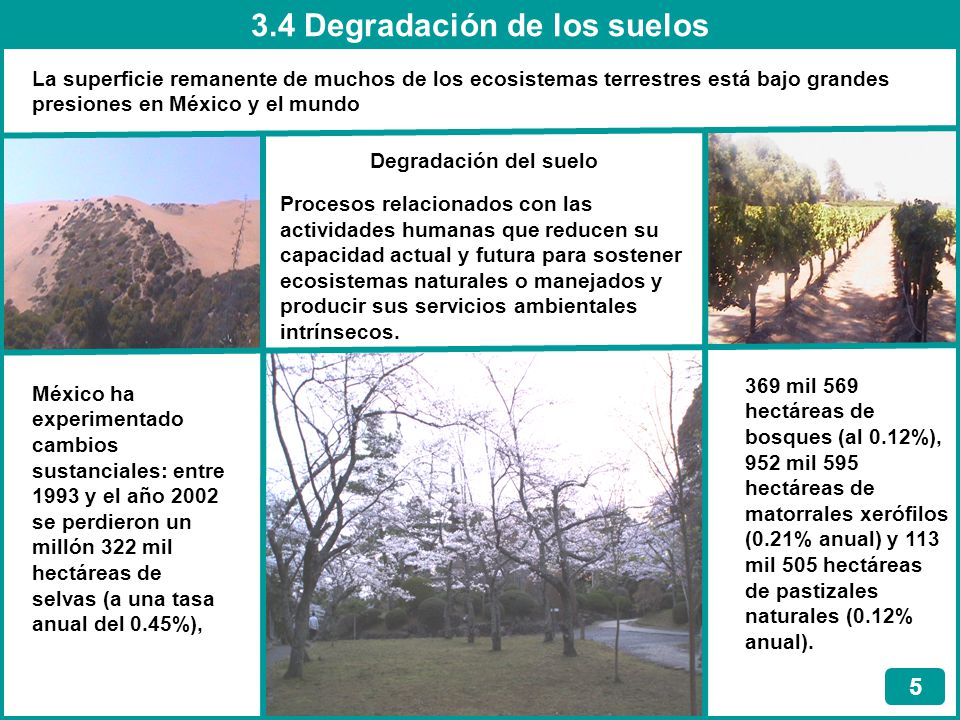 3.4 Degradación de los suelos