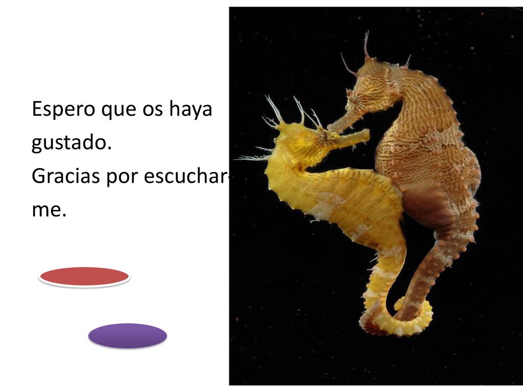 Espero que os haya gustado. Gracias por escuchar- me.