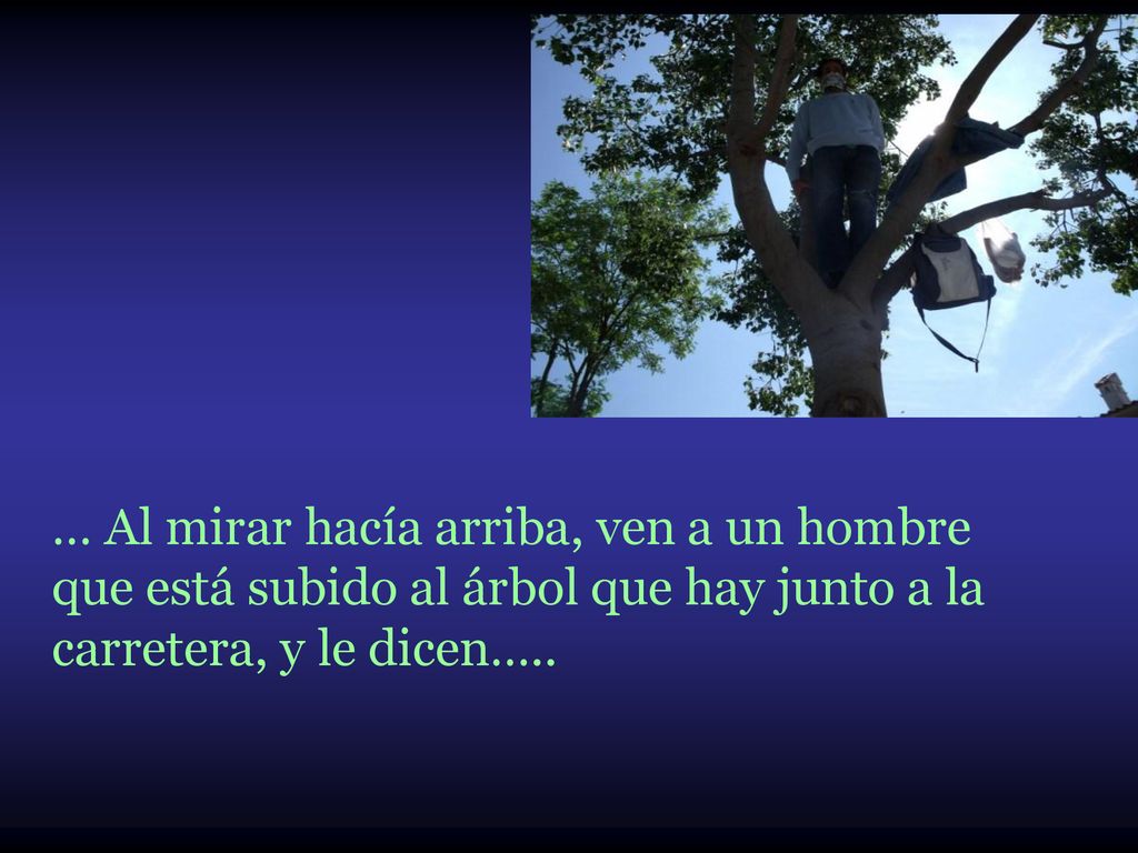 … Al mirar hacía arriba, ven a un hombre que está subido al árbol que hay junto a la carretera, y le dicen…..