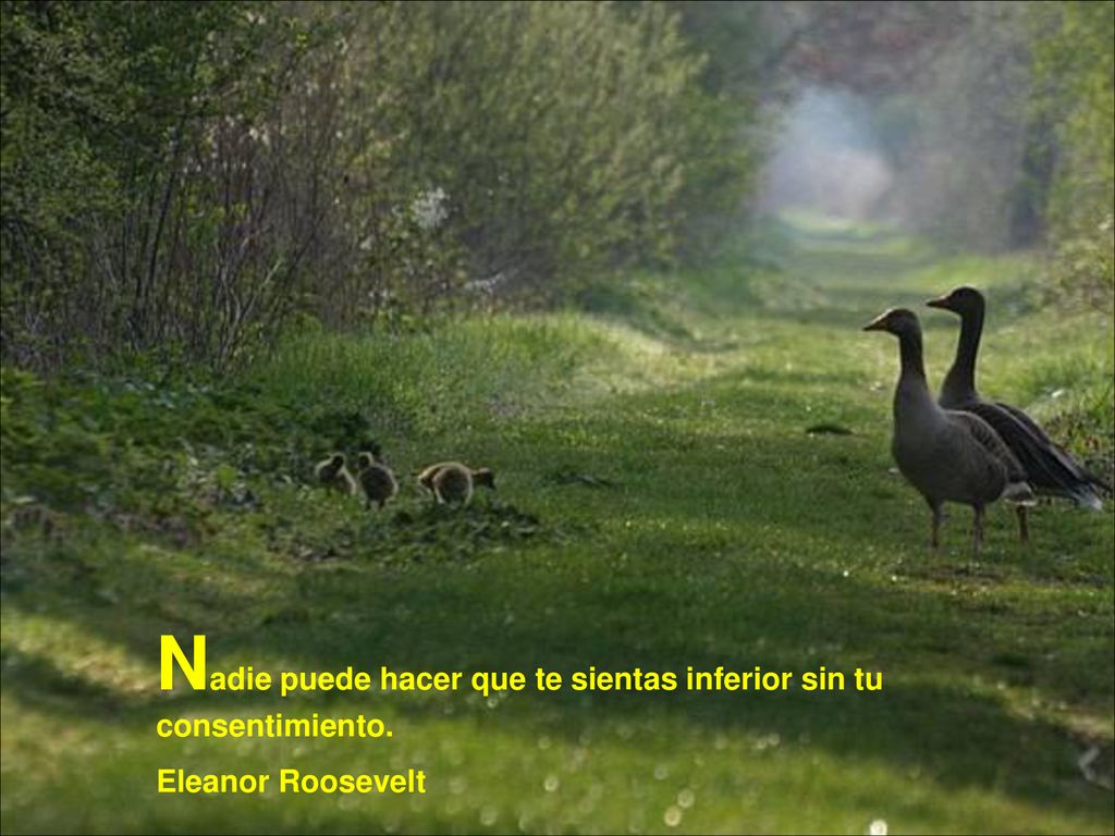 Nadie puede hacer que te sientas inferior sin tu consentimiento.