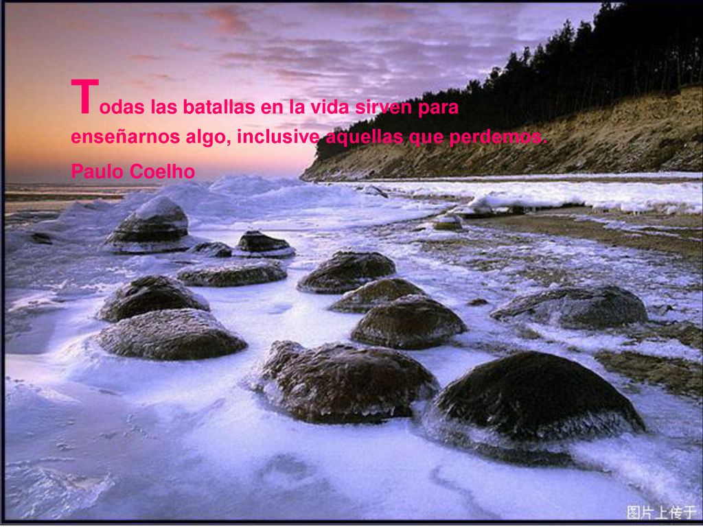 Todas las batallas en la vida sirven para enseñarnos algo, inclusive aquellas que perdemos.