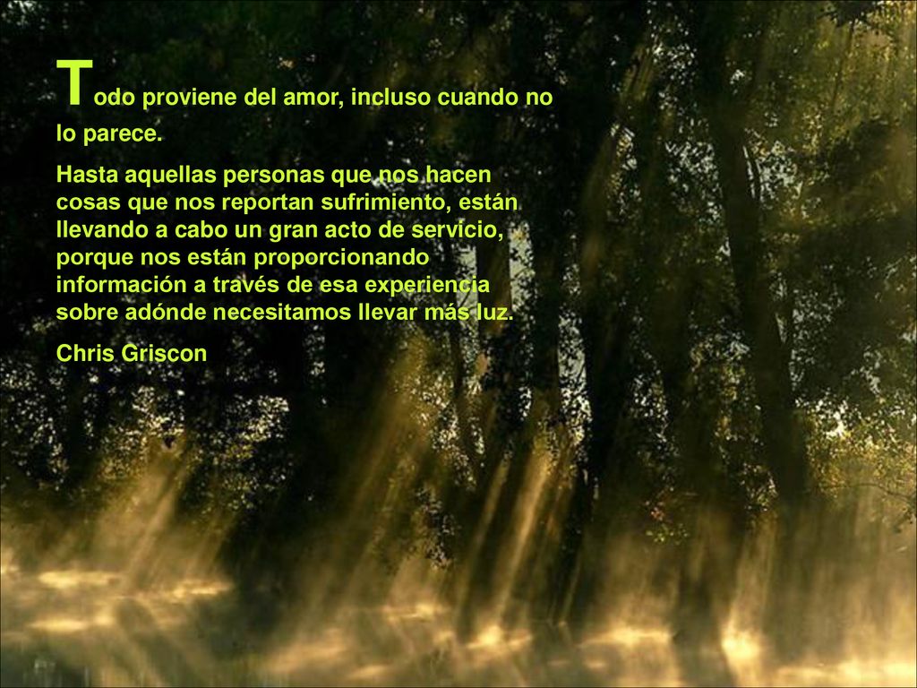 Todo proviene del amor, incluso cuando no lo parece.