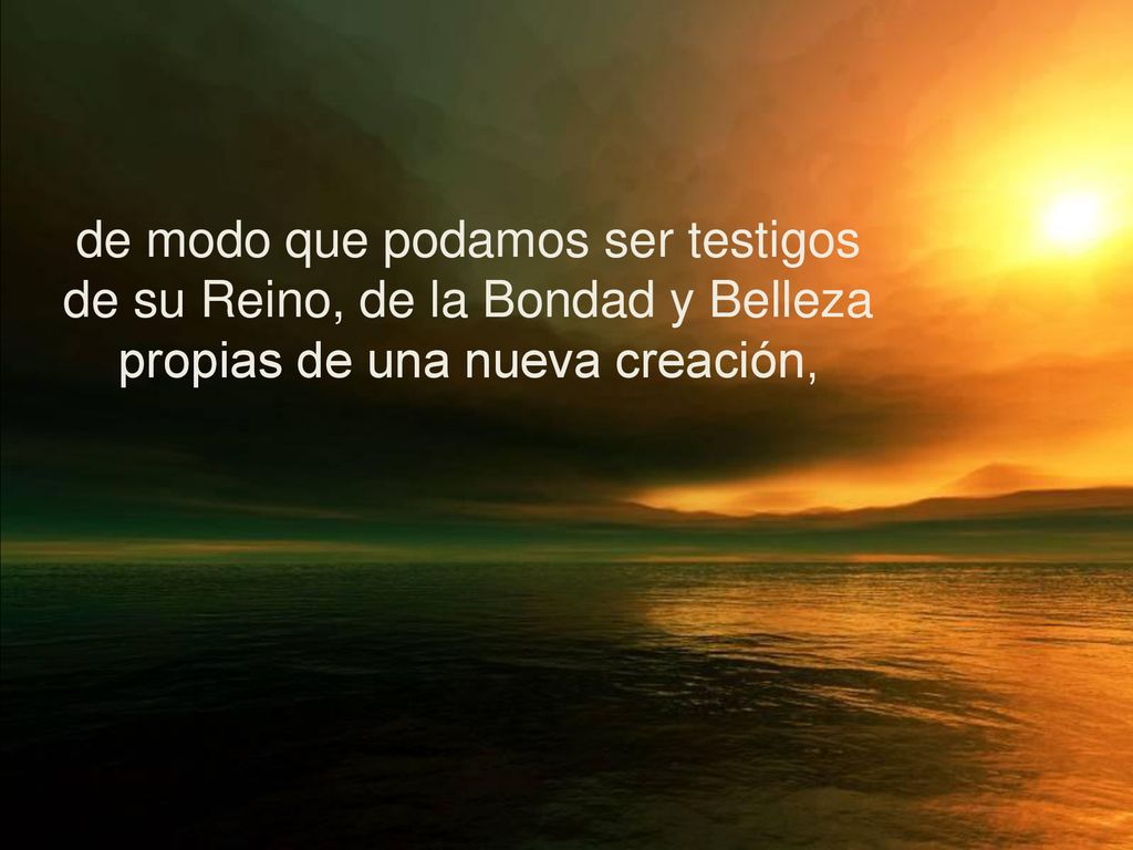 de modo que podamos ser testigos de su Reino, de la Bondad y Belleza propias de una nueva creación,