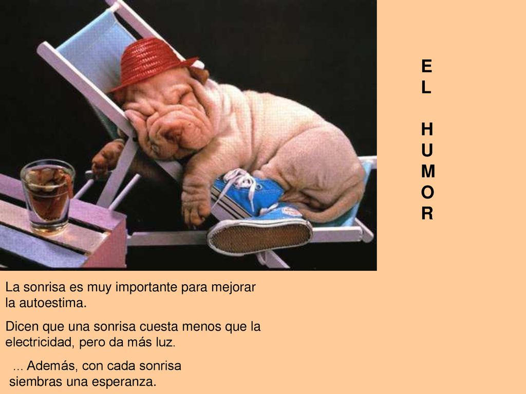 E L H U M O R La sonrisa es muy importante para mejorar la autoestima.