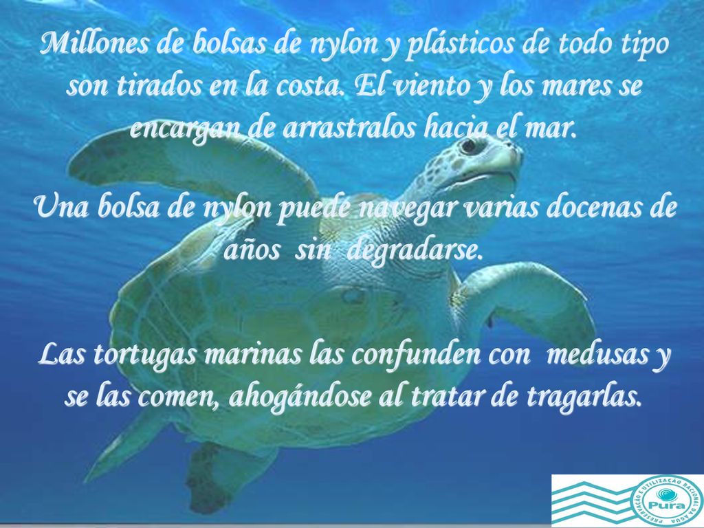 Millones de bolsas de nylon y plásticos de todo tipo